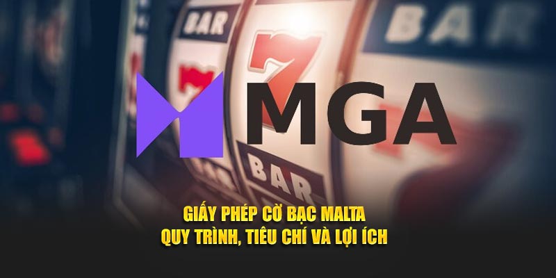 Giấy Phép Cờ Bạc Malta – Quy Trình, Tiêu Chí Và Lợi Ích