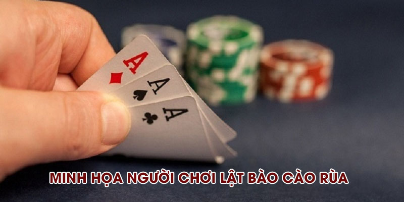 Minh họa người chơi lật bài cào rùa